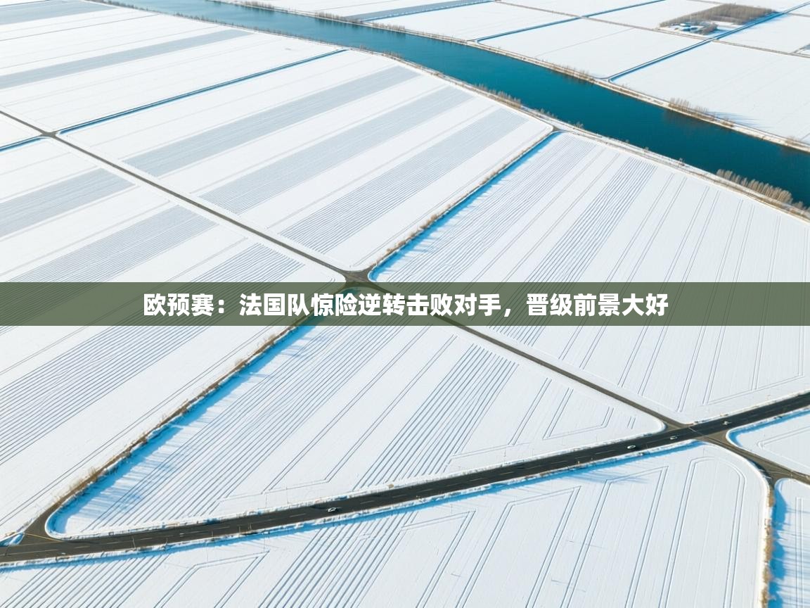 欧预赛：法国队惊险逆转击败对手，晋级前景大好  第1张