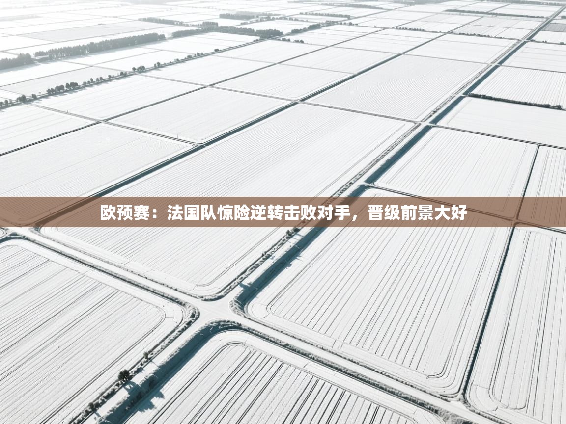 欧预赛：法国队惊险逆转击败对手，晋级前景大好  第2张