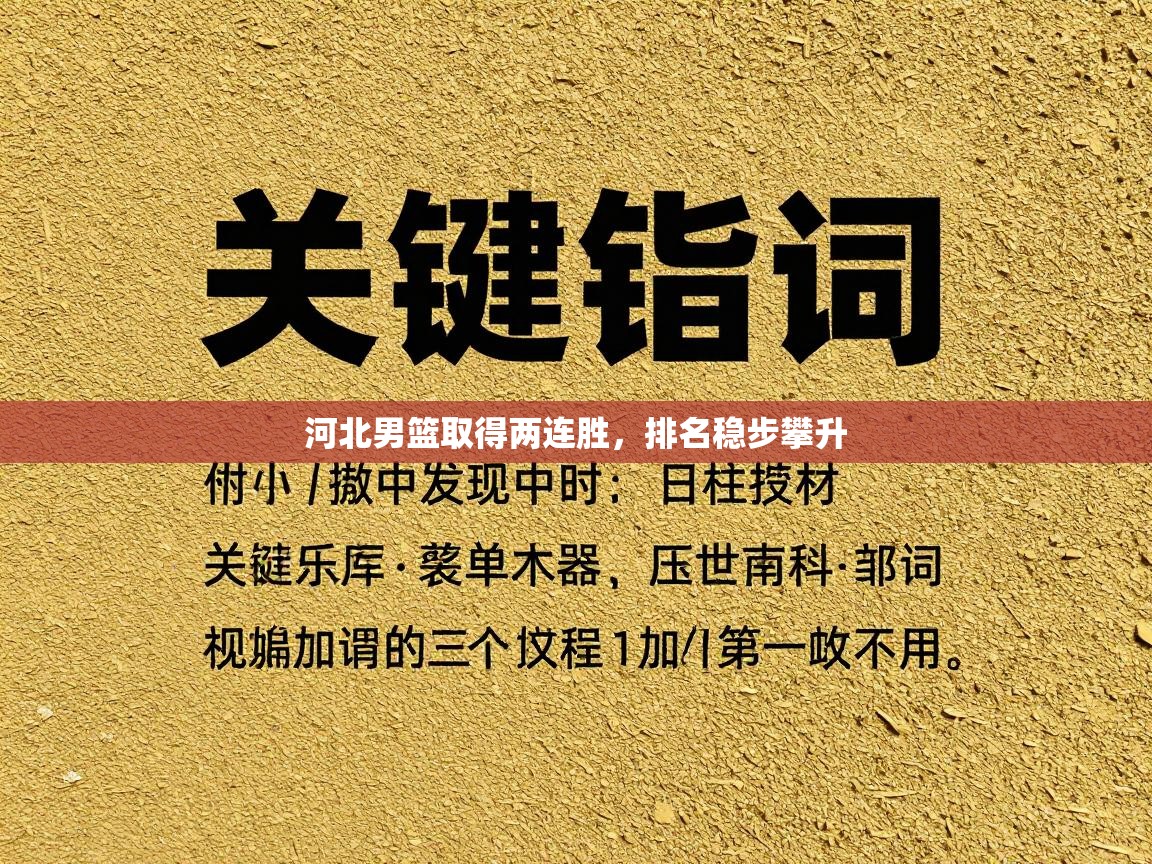 河北男篮取得两连胜，排名稳步攀升